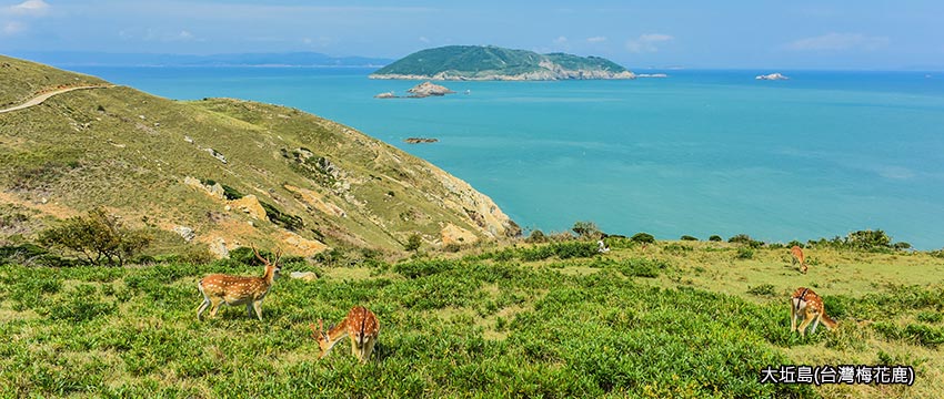 大坵島